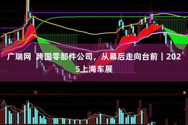 广瑞网  跨国零部件公司，从幕后走向台前｜2025上海车展