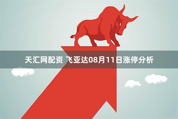 天汇网配资 飞亚达08月11日涨停分析